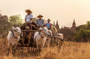 Cultural travel experiences