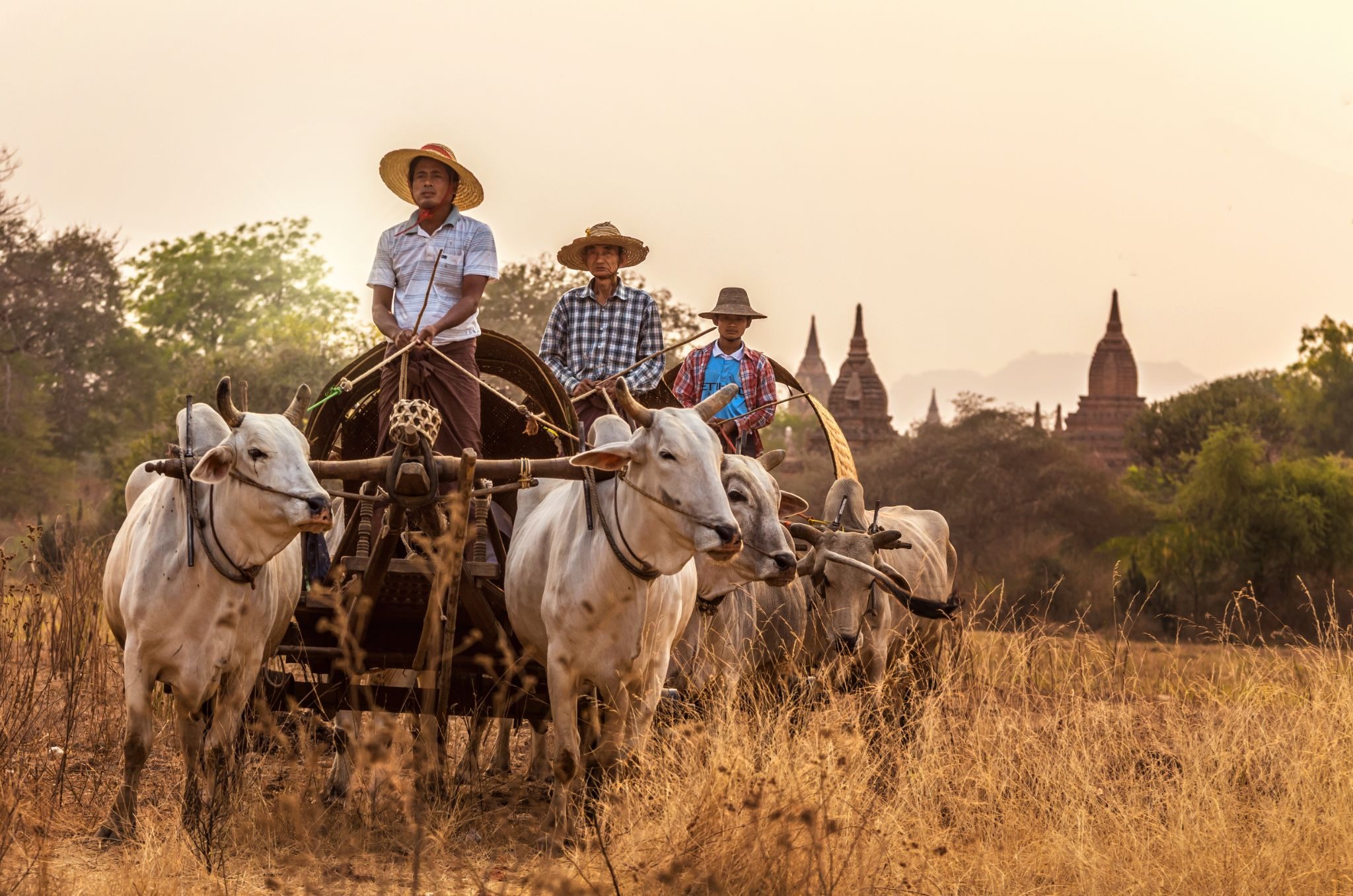 Cultural travel experiences